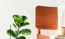 Экологичные материалы для интерьеров коммерческих помещений